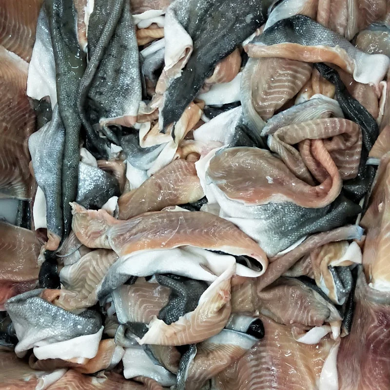 Good Quality Salmon Skin