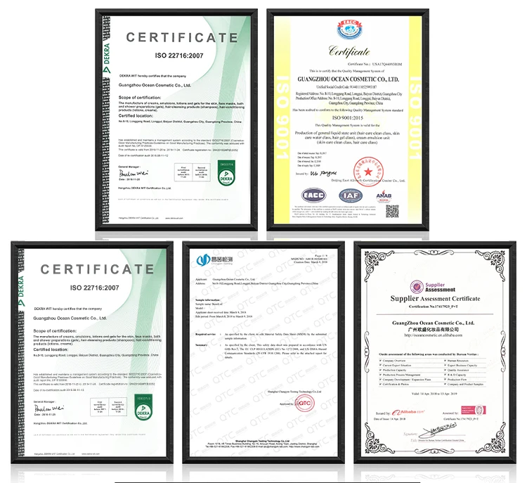 oem custom no logo makeup natural whitening waterproof snail bb cream