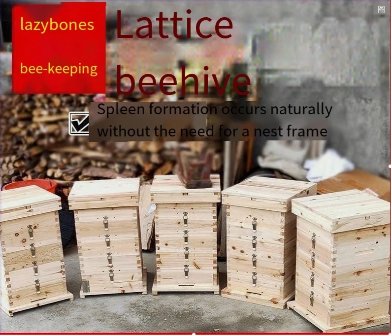 Wholesale Beekeeping Equipment Custom Logo Wooden Beehive Box with Frames Wax Coated Hive 1-Year Warranty Farm Applicable