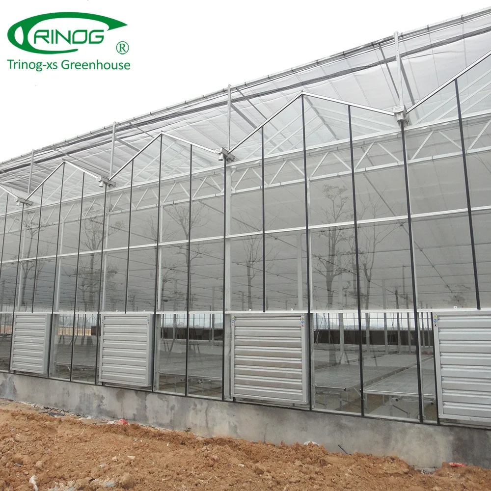 Double layer glass hydroponics greenhouse for cold weather