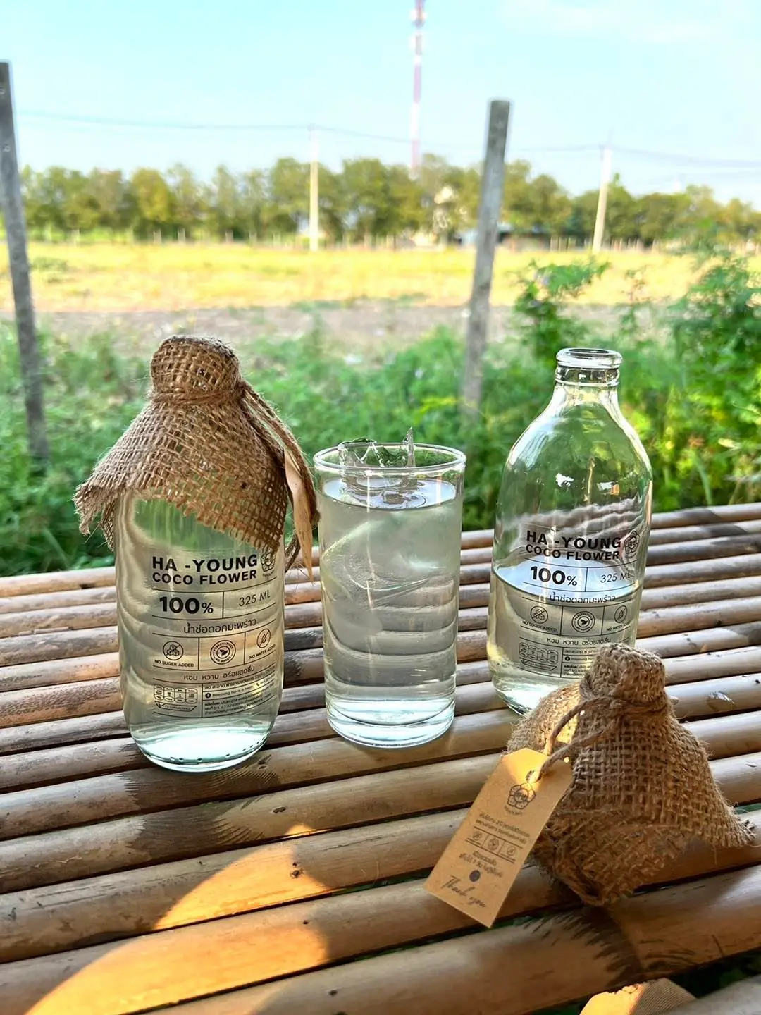 Ha Young Coconut Flower Water Drinks 100 % Natural Scent Delicious Original Taste & Healthy for All Ages Wholesale from Thailand