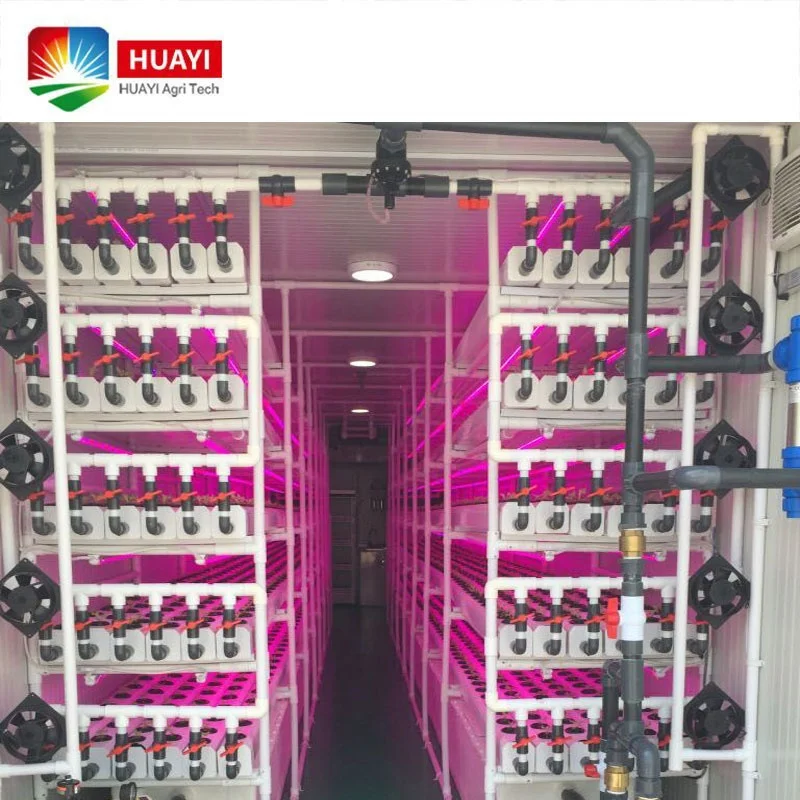 Shipping Container Hydroponic Farm Micro Green/ Lettuce/ Leafy Vegetables Growing Systems for Sale