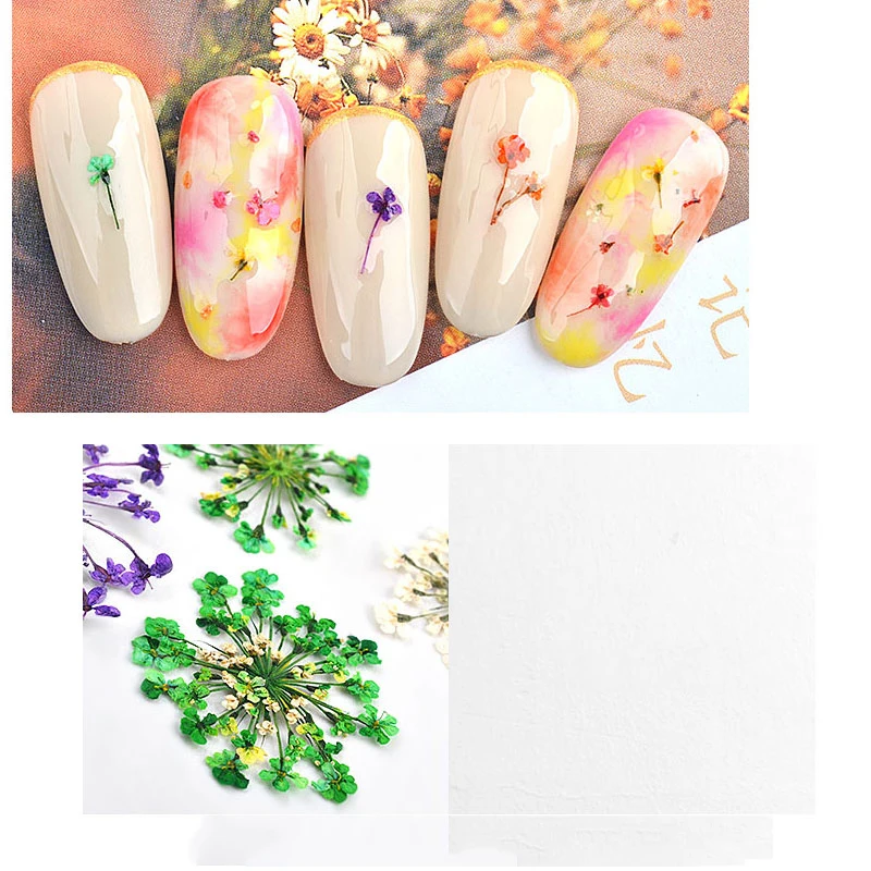 
Wholesale 12 designs 3D natural dried flowers nail art decoration Gypsophila preserved UV gel DIY manicure designs 