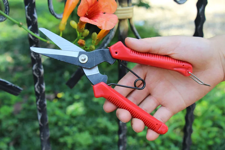 Amazon Ebay Hot Sale Garden Plant Trimming Pruner Cutting Secateur Grape Tree Shrub Pruning Scissor