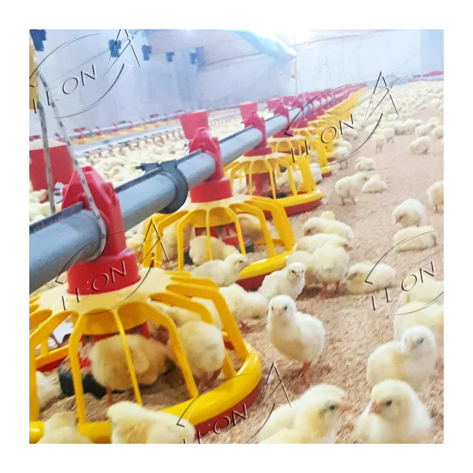 High Quality Low Cost Modern Poultry Farm Chicken House Design