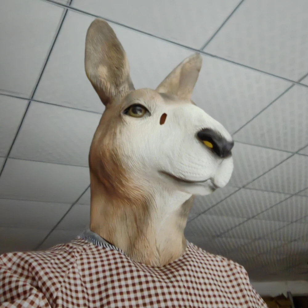 _20240311094435_.jpg