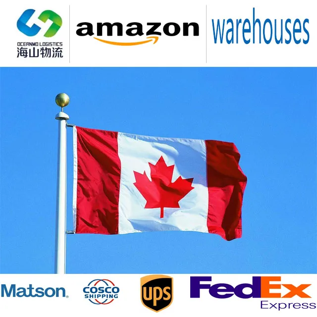 Поставщик логистических услуг из Китая в США экспедитор От двери до Fedex UPS DHL экспресс-доставка DDP к нам/MX/CA