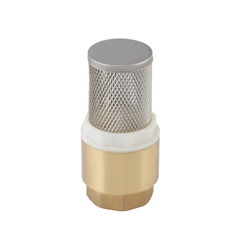 
1/2 Ss Net Pvc Inside Bsp Thread Brass Check Valve In Yuhuan Zhejiang China WHOLESALE 