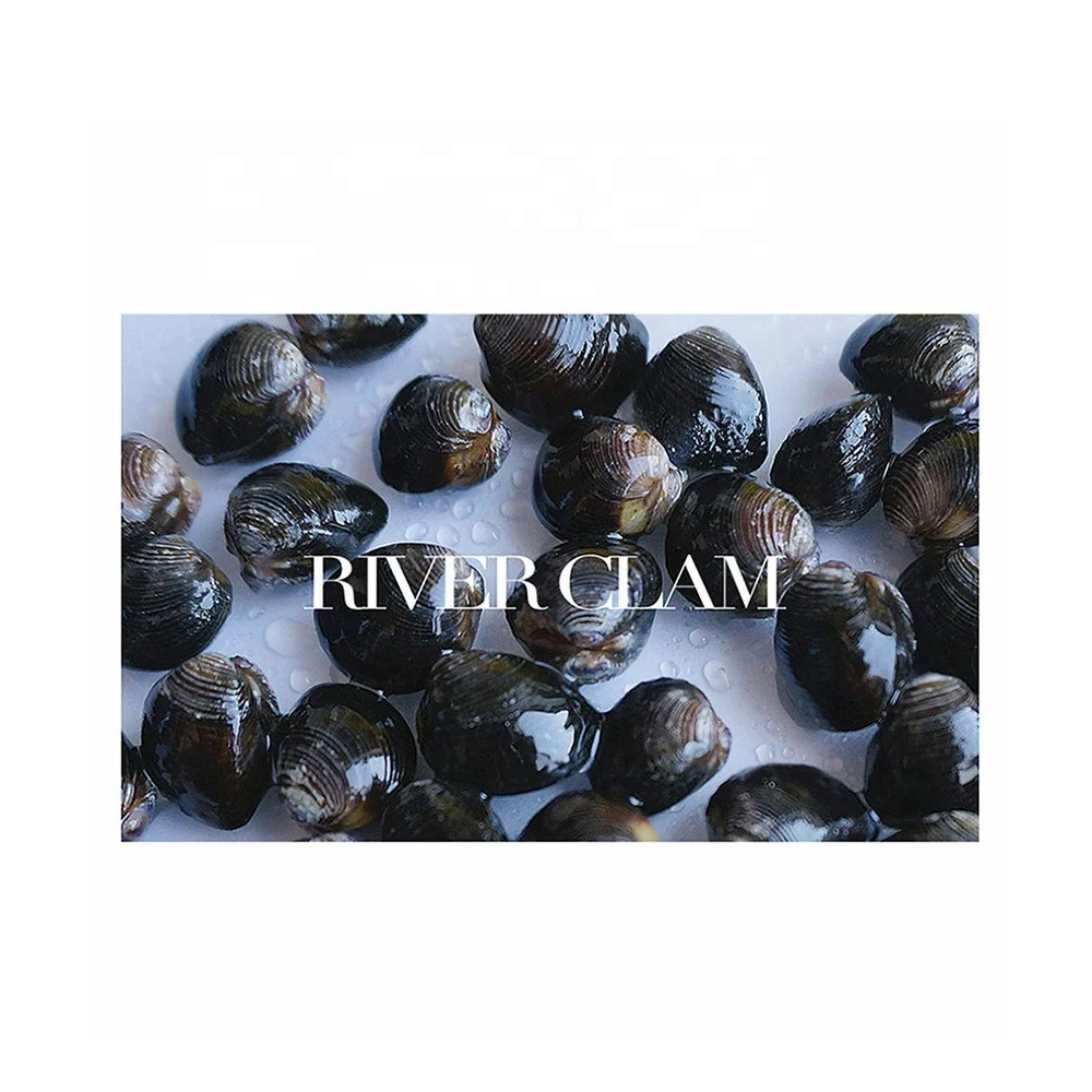 Frozen Delicious Healthy Seafood Importer Shellfish Seafood Frozen  river clam