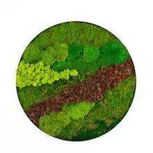 scandinavian moss Ready Made Customized Office Decoration 3D Real Natural Moss Wall Art Frame Wholesale Reindeer Moss Stabilized
