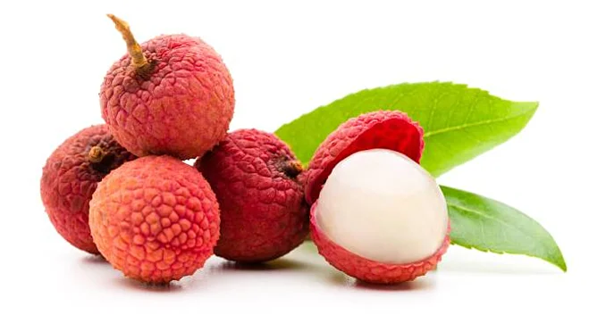 New Crop Natural Fresh Lychee from Viet Nam Manufacturer for Making Jelly Syrust and Eating Directly