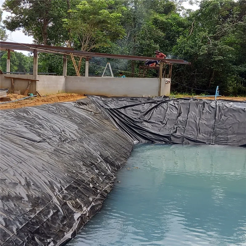 Free sample dam liner geomembrane hdpe geomembrane hdpe film