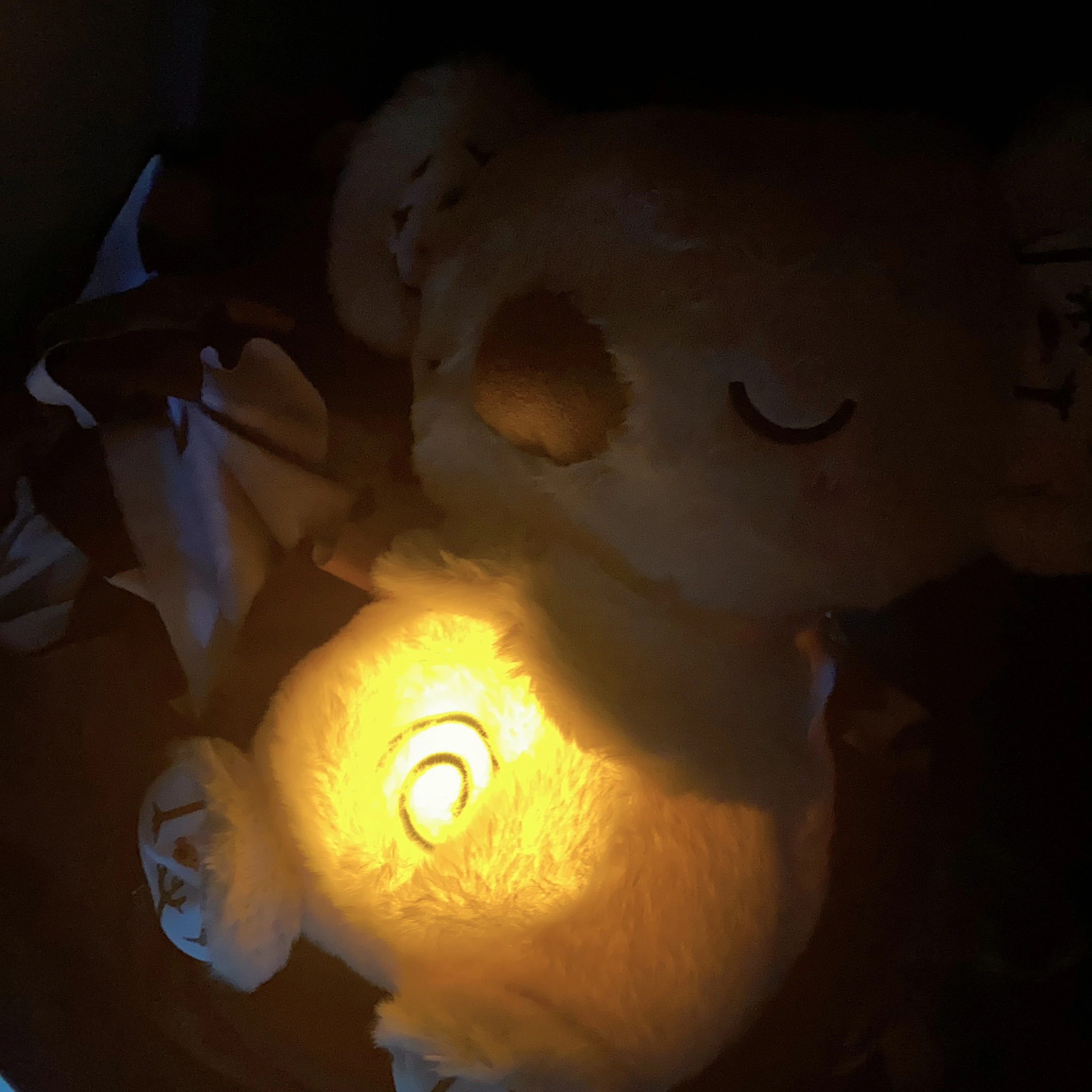 Small Otters Bear Animal Plush Soft Soothing Sleep Able Breathe Music Dolls to Soothe Accompany Stuffed Animal Toys