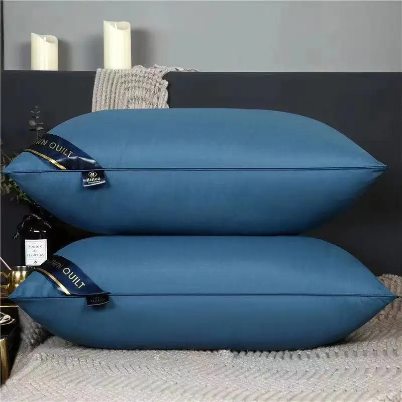 1000g Healthy Sleep Microfiber Polyester 5 Star hotel 48x74 Pillow Hilton Hilton Pillow with bag 1kg
