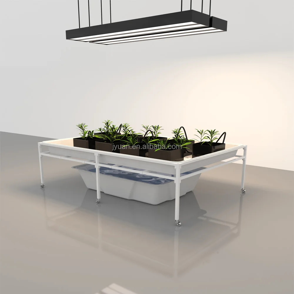 Customized Hydroponic Growing Systems Multi-Span Greenhouses Rolling Hydroponic 3X6 Flood Table