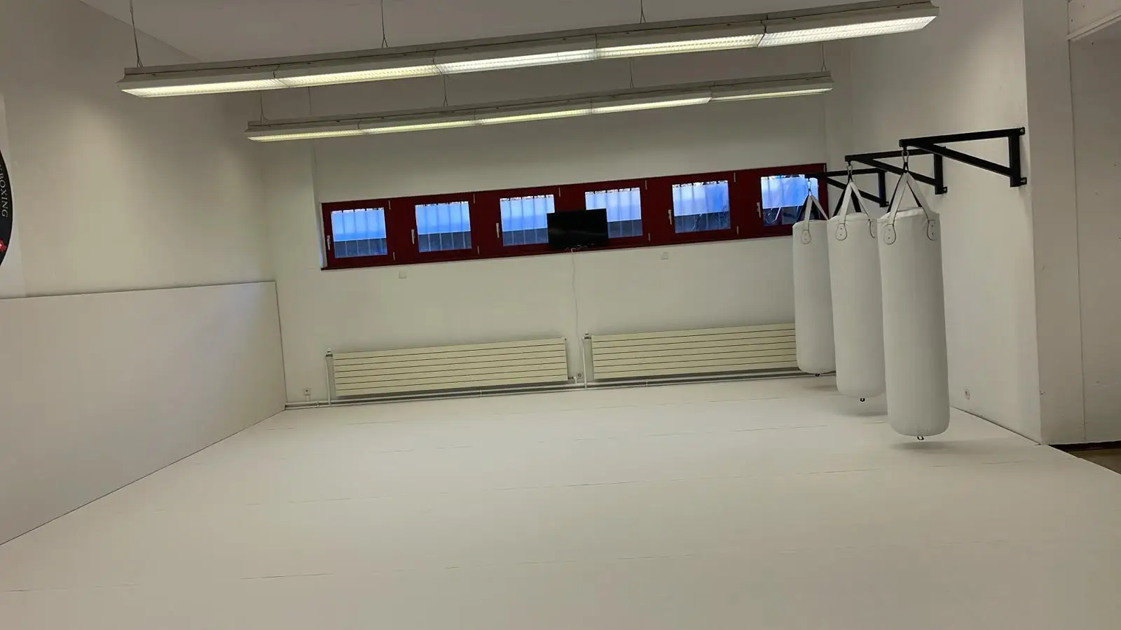 X155 FIGHTBRO 1.55m/5ft width roll out mats jiujitsu mats for BJJ wrestling judo grappling MMA Kickboxing Muaythai