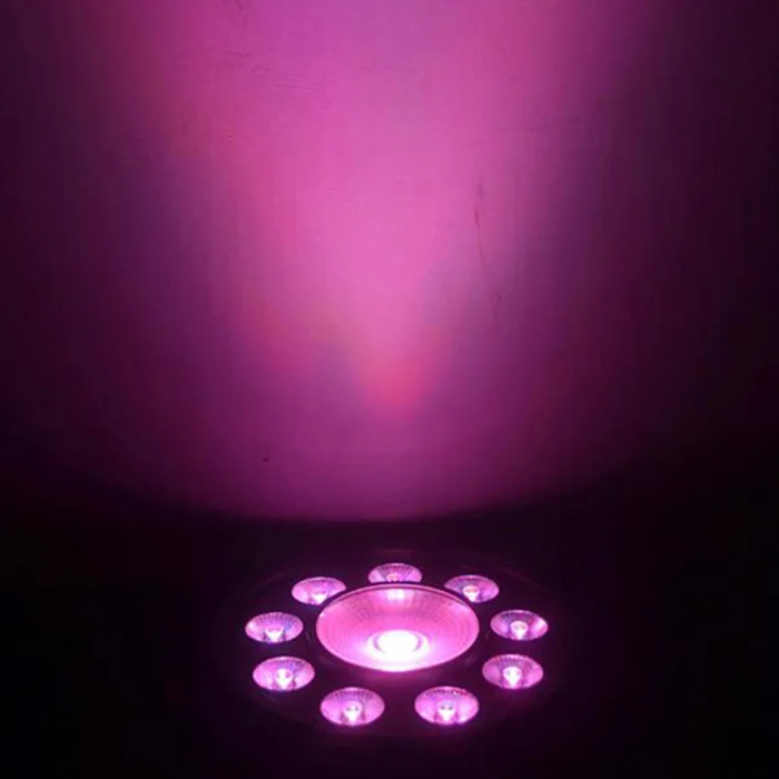 MITUSHOW Indoor Portable Par Light with 9+1 LEDs RGBW 4-in-1 DMX Control Mode for Disco Parties Nightclubs Concerts at Price