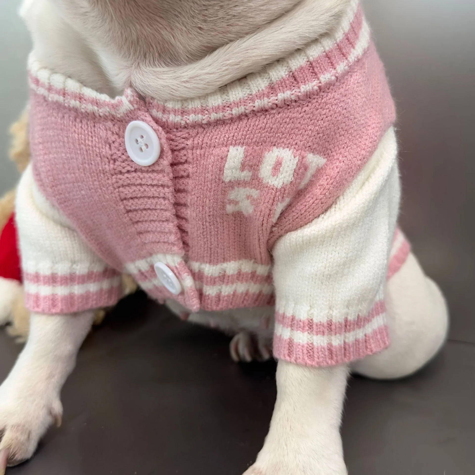 Japan And Korea Popular Cartoon Dog DKNY Jeans Super Cute Pink Bear Pet Sweater Coat