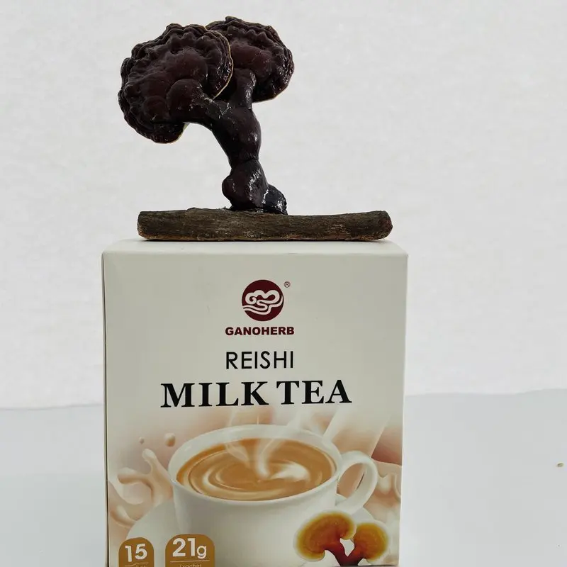 
4 в 1 гриб Рейши латте Lingzhi Ganoderma Lucidum мгновенный кофе кафе производитель завод-поставщик 