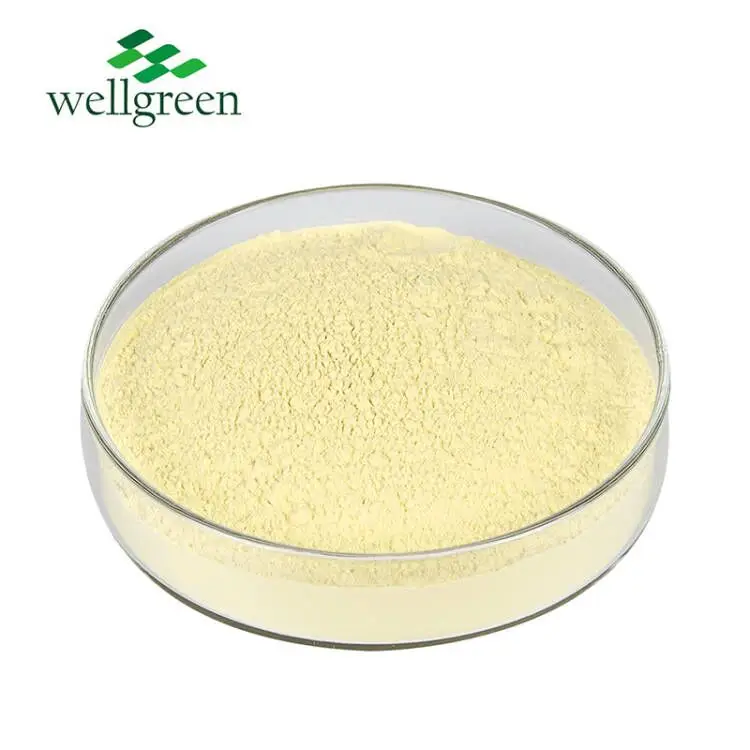 Low Maq Coptis Chinensis Berberis Aristata Extract HCL 633-65-8 Berberine Hydrochloride Powder