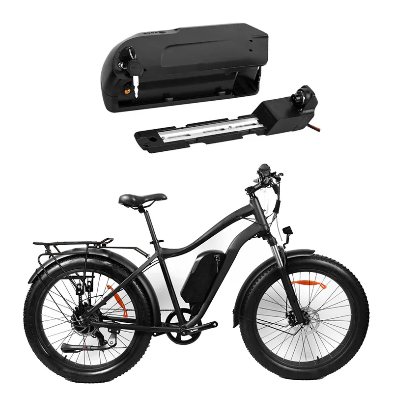 High Performance 48V 10Ah Li ion E-bike Battery with Charger