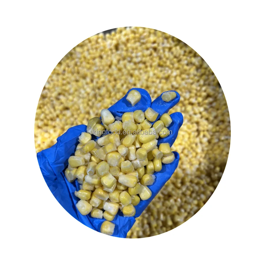 Замороженное ядро сладкой кукурузы для продажи