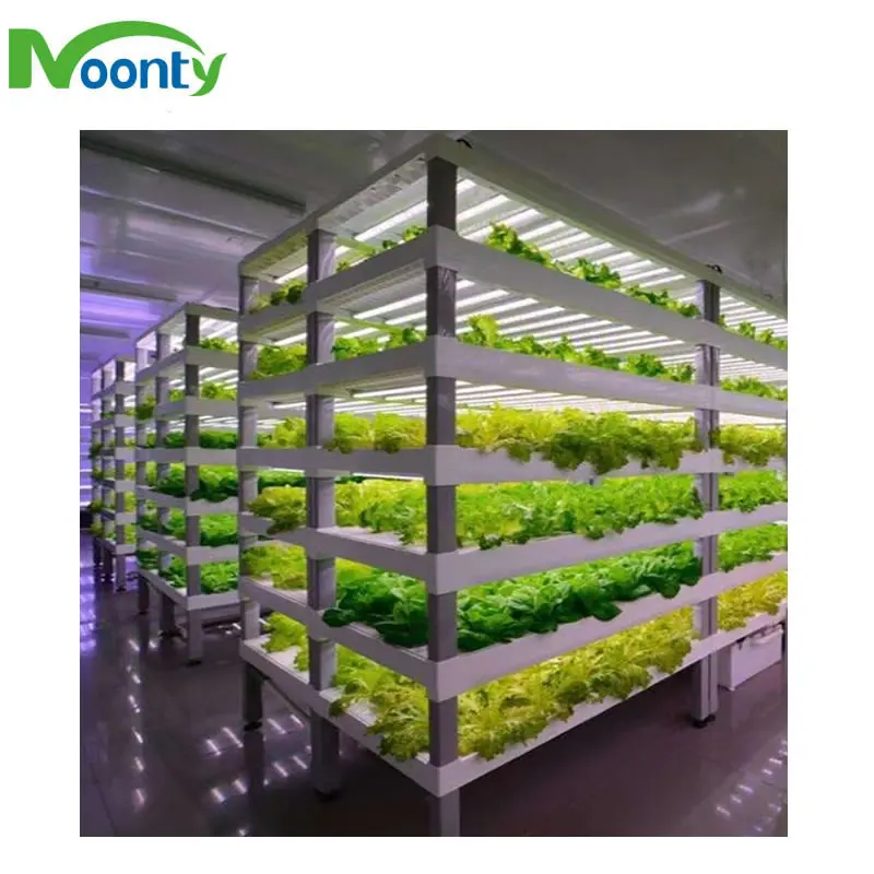 Smart NFT Farms Vertical Hydroponic Shipping Farming Container NFT Hydroponic System