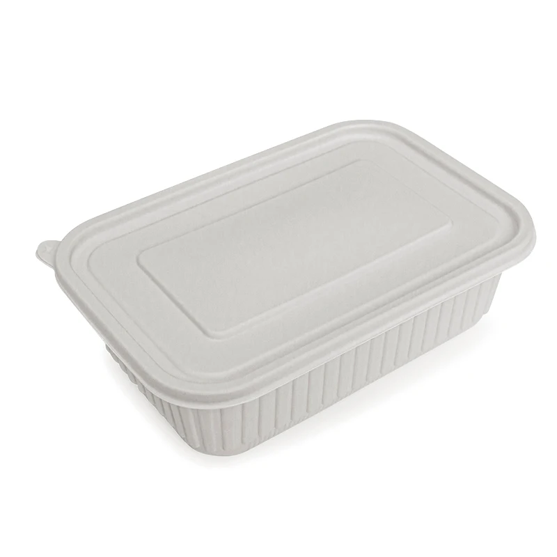 Factory Price Cormstarch Plastic PLA Container Biodegradable Disposable Lunch Box