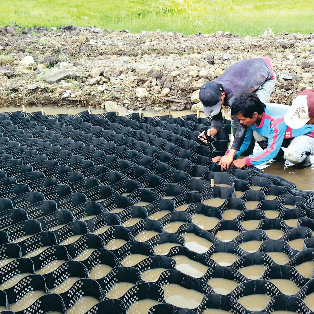 Customized color Yellow Green  Black Plastic Geocell used in Road Construction Geocells Ground Grid Geocell