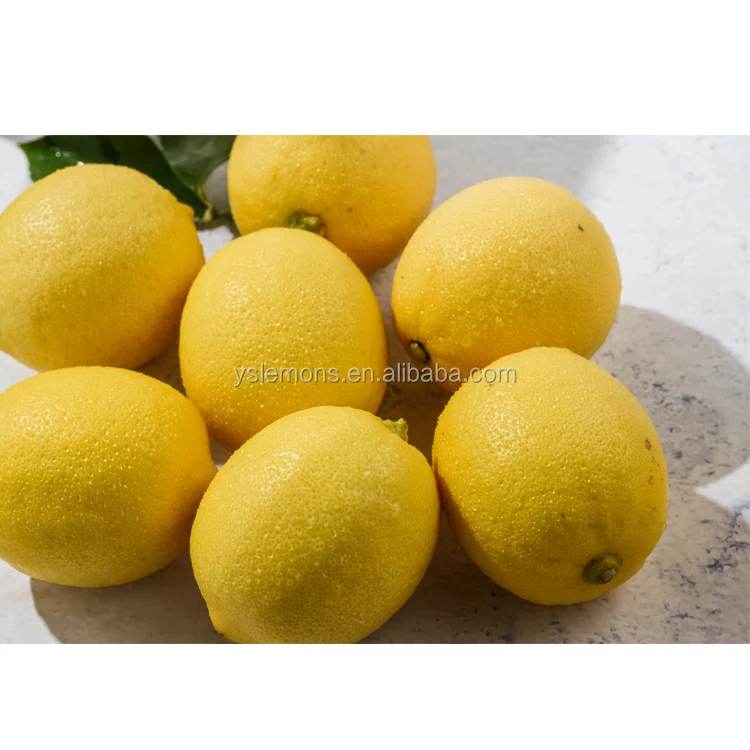 Montale Hot Sale Fresh Eureka Yellow Citrus Lemon