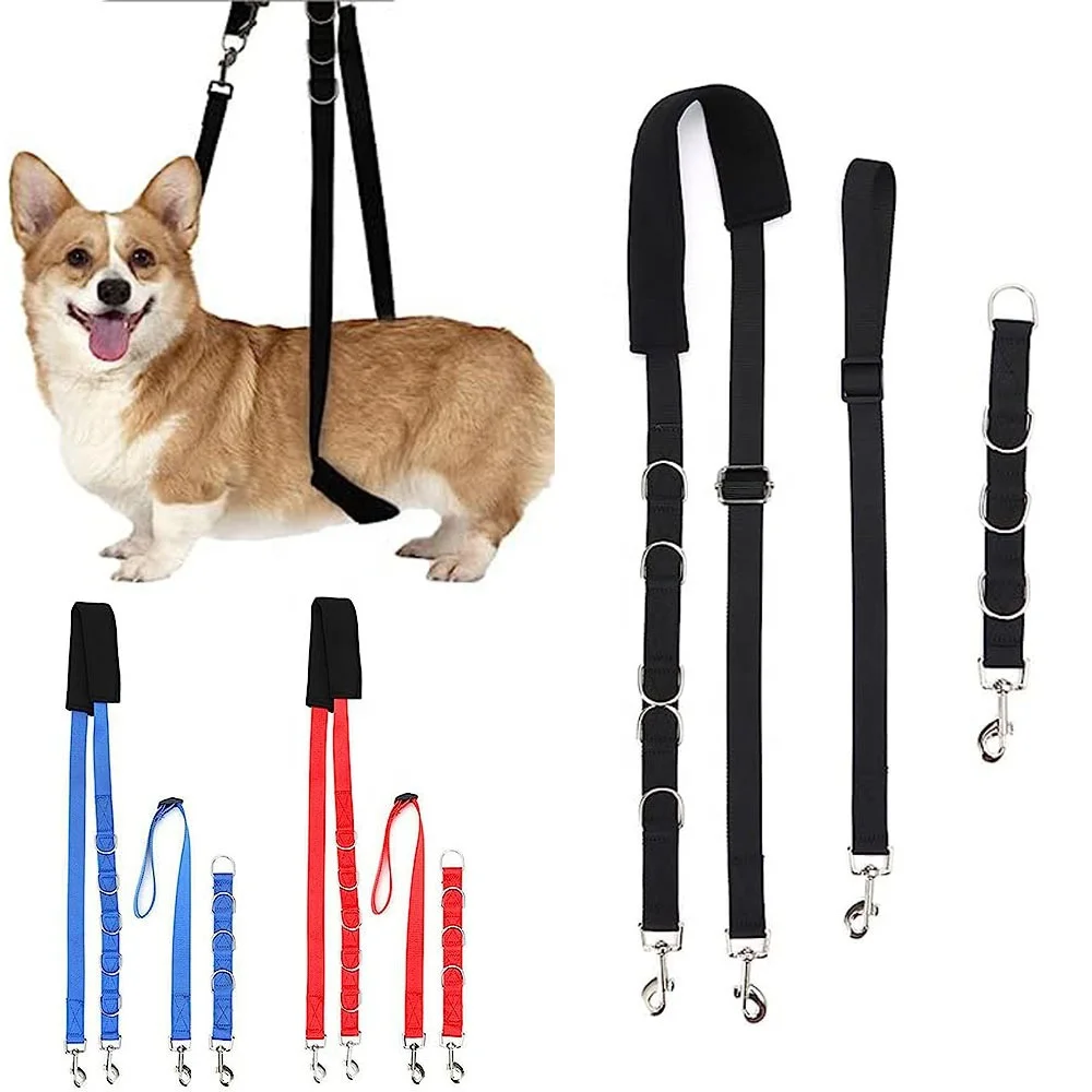 Dog grooming leash.jpg