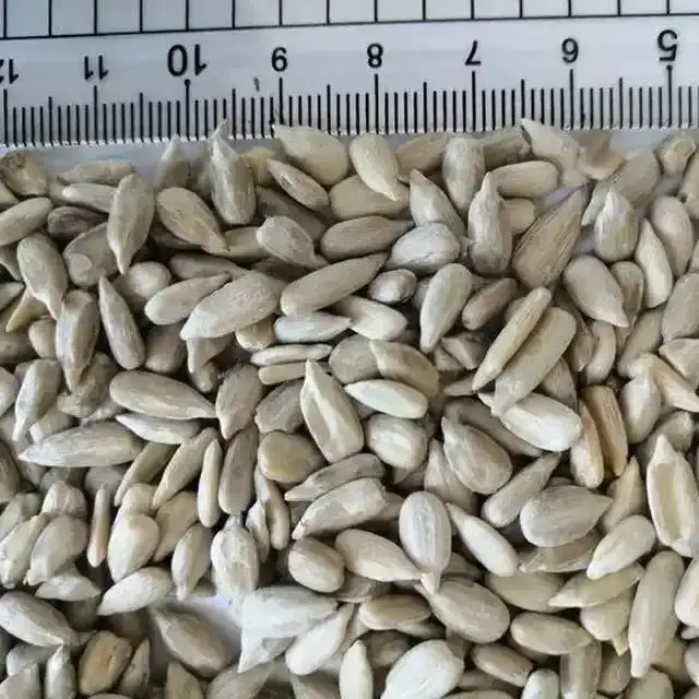 Wholesale Bakery Confectionery Grade Oil Sunflower Seeds Kernels Peeled Raw Natural Product
