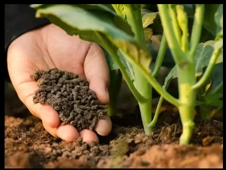 DINGHAO NPK  Blue Granular 12-12-17 + 2MgO   Compuond Fertilizer