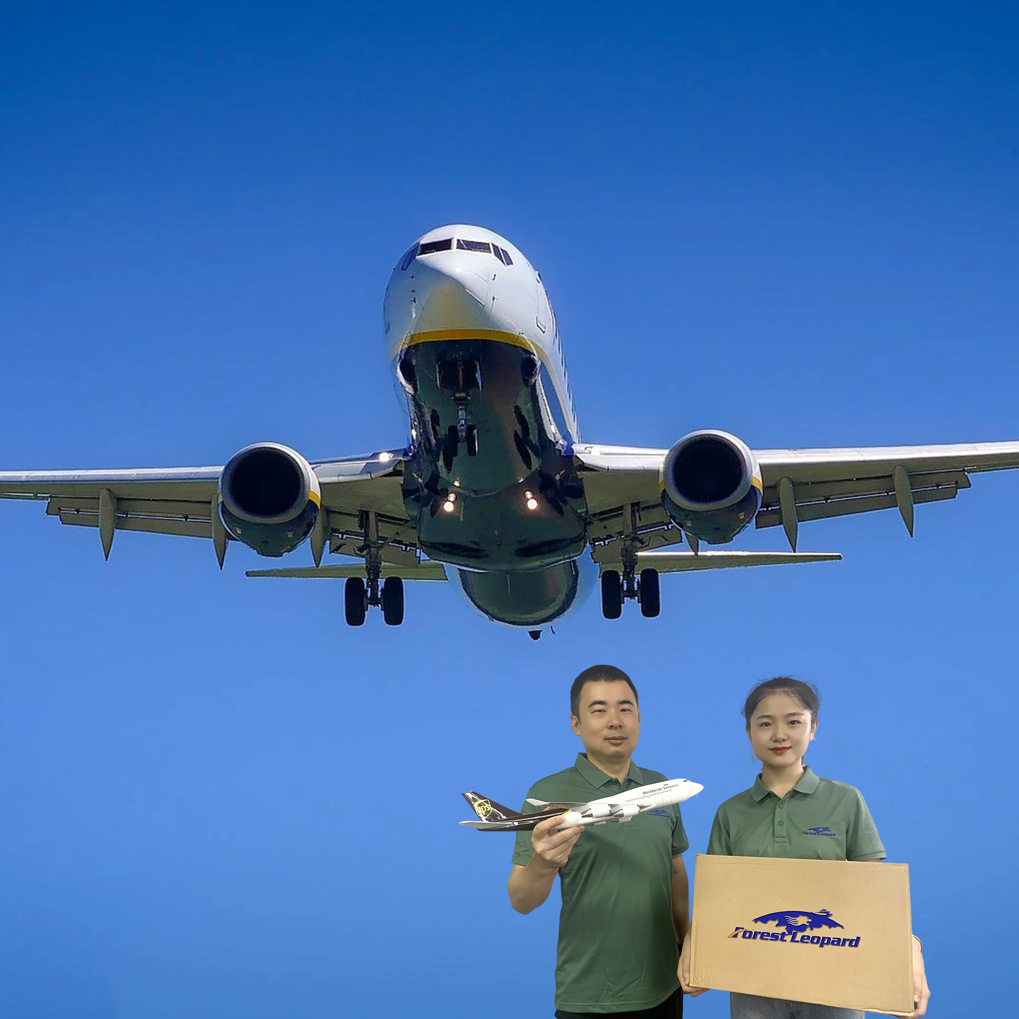 Ocean Freight Rates China Shipping to Algeria Book Shipping Space 7days Free Storage Pickup from Every Supplier FCL and LCL