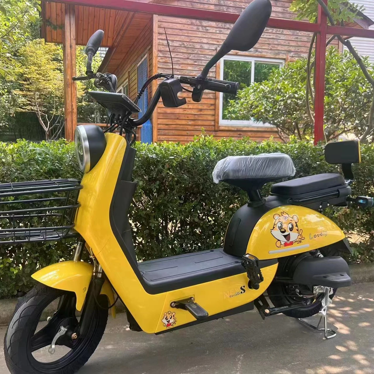 China Manufacturer family hot sale classic design Multicolor Aluminum electric bicycle