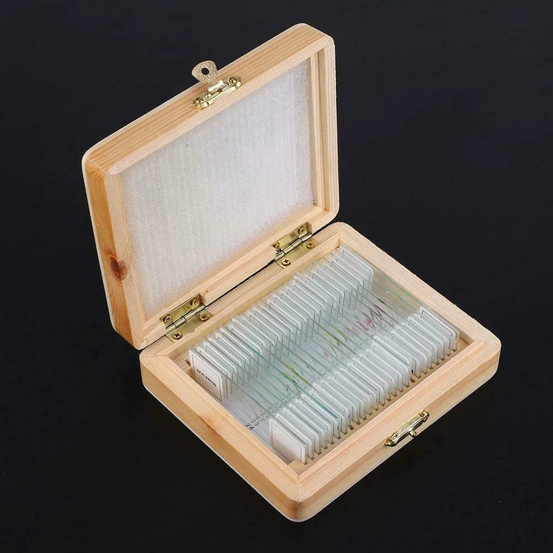 30pcs Bacteriology Microbiology Prepared Glass Microscope Slides Set For Medical Research