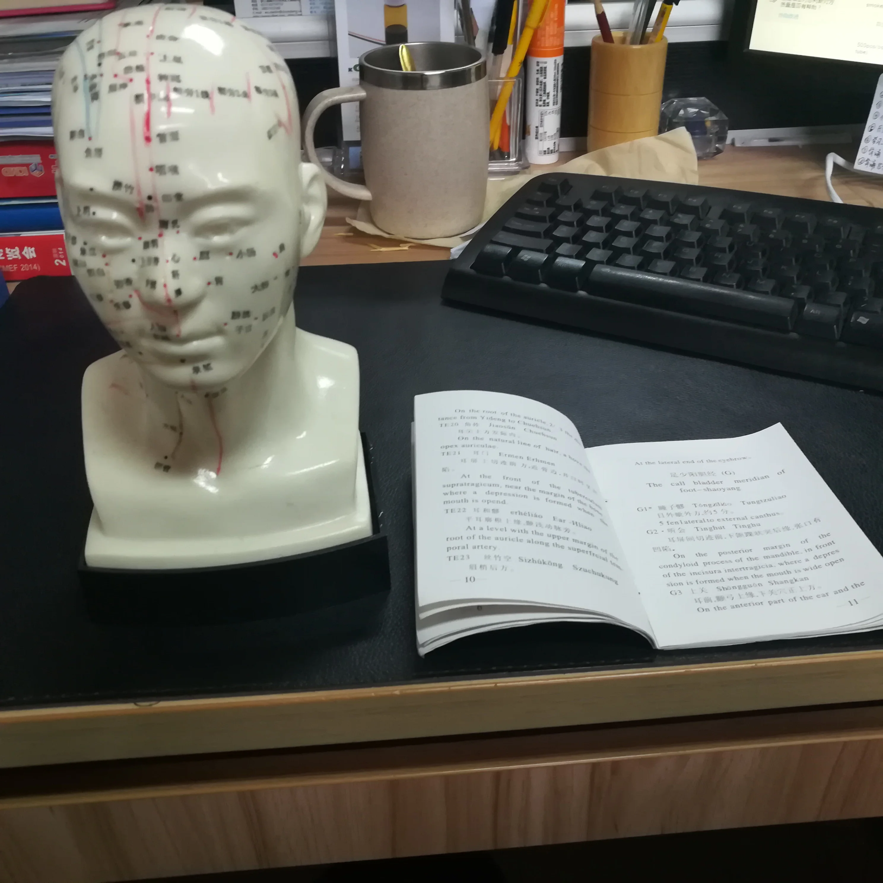 Eco-friendly PVC Medical Teaching Model 20cm Human Head Acupuncture Model