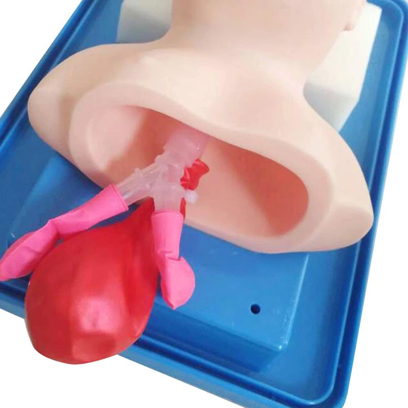 Medical Simulation Model Neonate Intubation CPR Training Manikin For First Aid