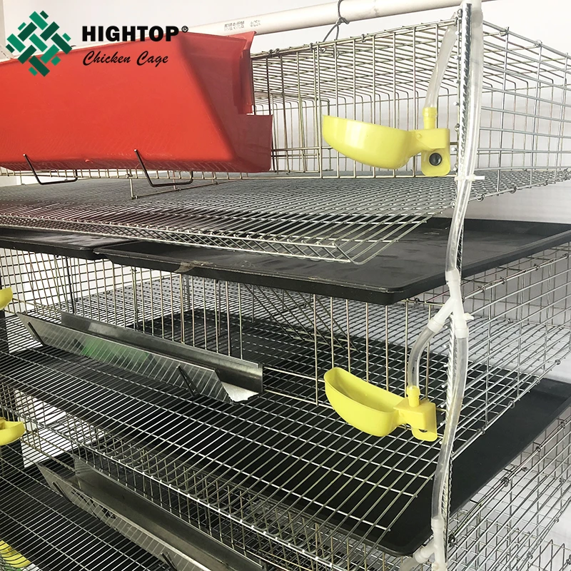 Коммерческий 6 ярус 12 ячеек низкоуглеродистая сталь Q235 перепелиные клетки для яйценоскость