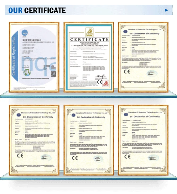 Best price Portable Battery EV Charger 60v battery charger of Vehicle car charger  waterproof IP67 with CE,FCC