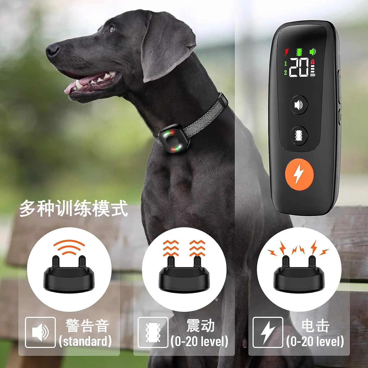 training collar 732 (4).jpg