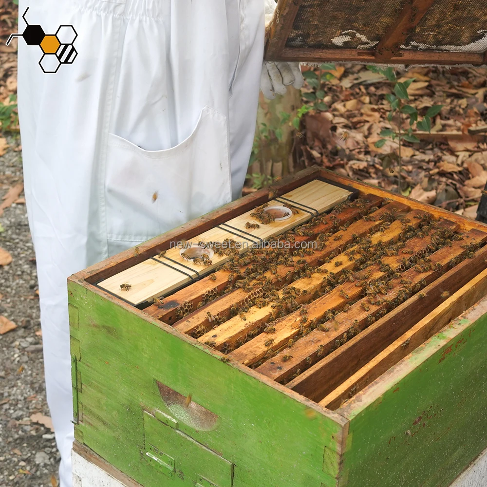Beekeeping Tools 3.5L Plastic Frame Bee Feeder