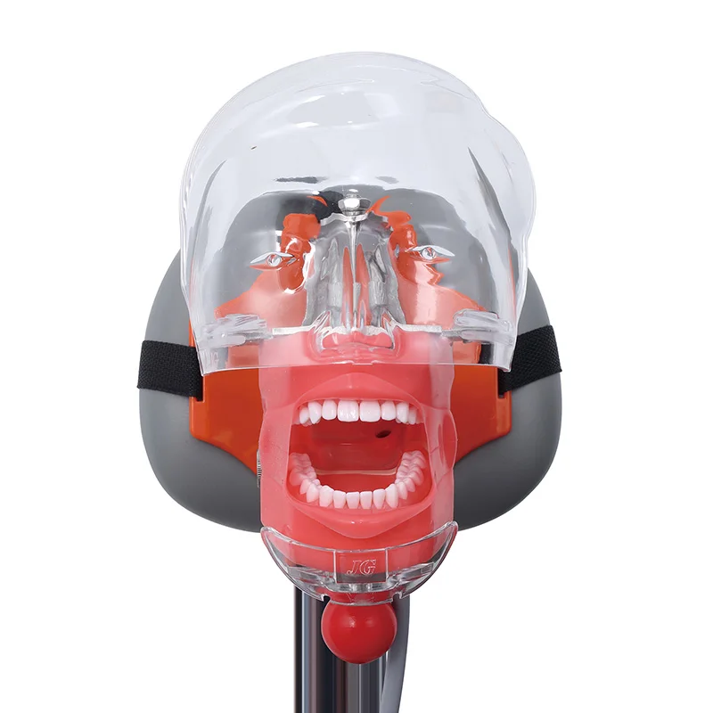 Dental Training Supply Dentistry Torso Model Simulator Unit