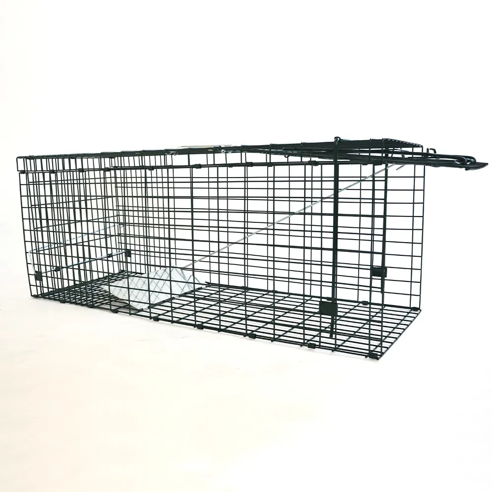 Good quality cage traps galvanized Collapsible trap cage Humane wild Animal Trap cage for catching fox dog cat