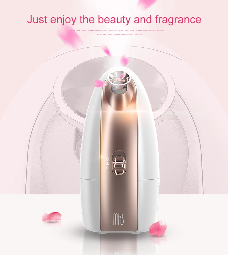 Support Sample Professional Portable Mini Mist Hot And Cold Ionic Vapor Ozone Facial Steamer