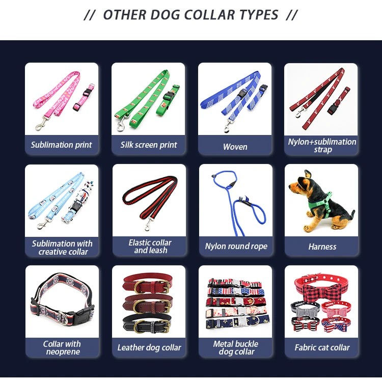 AI-MICH Personalized Custom Luxury Nylon Heat Transfer Dog Collar Leash
