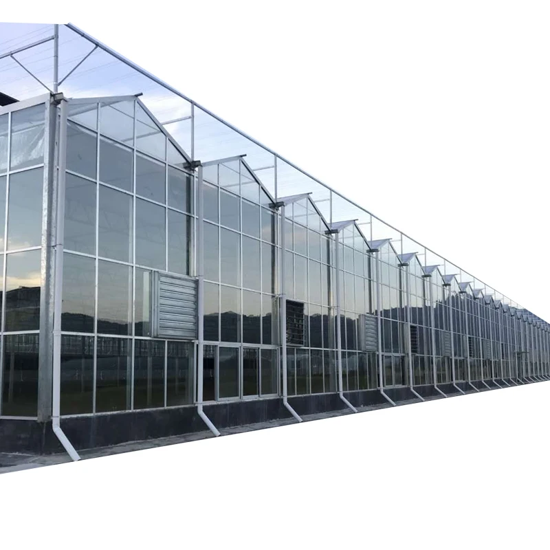 agricultural large polycarbonate green house PC Greenhouse price from China