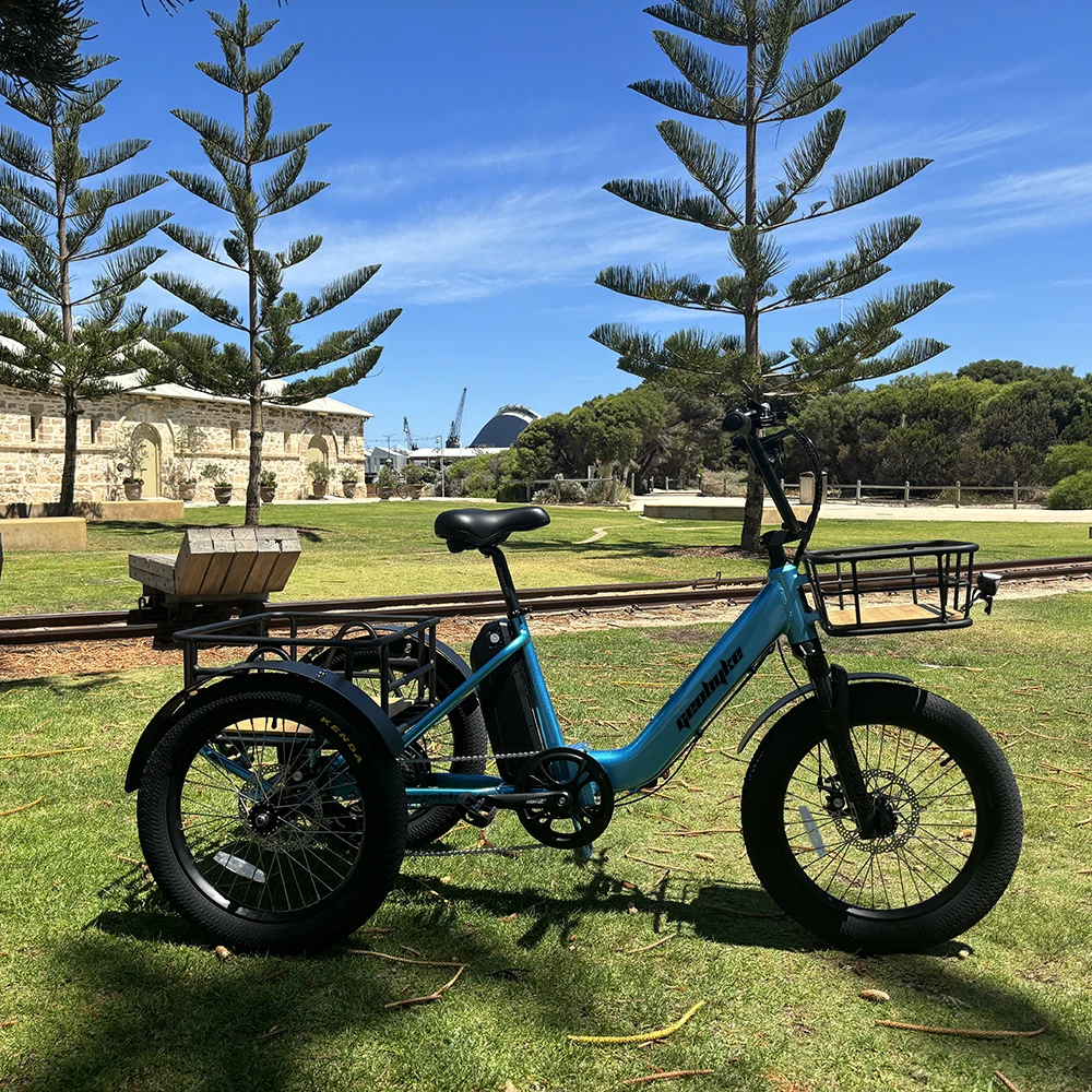 Factory Price Heavy-duty Carrying Rear Fat Tire Three Wheels Electric Bike Adult Electric Tricycle With 7-speed Derailleur