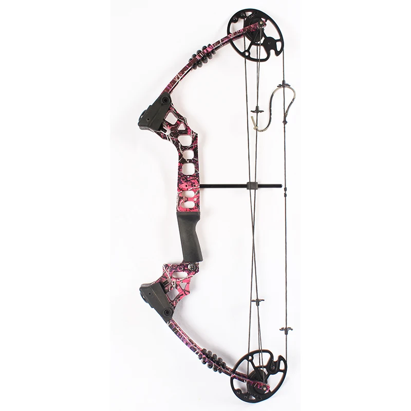 China Archery Compound Bow And Arrows For Sale
