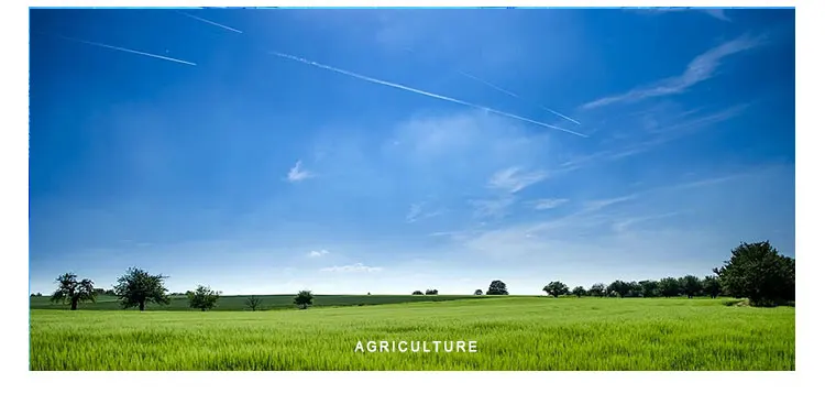 npk 20-20-20 agricultural grade water soluble npk granular compound fertilizer prices